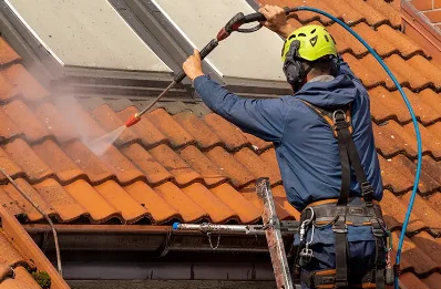 Démoussage et hydrofuge de toiture à Sarraguzan
